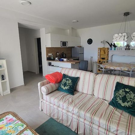 Apartments Amadea 诺维·维诺多尔斯基 外观 照片