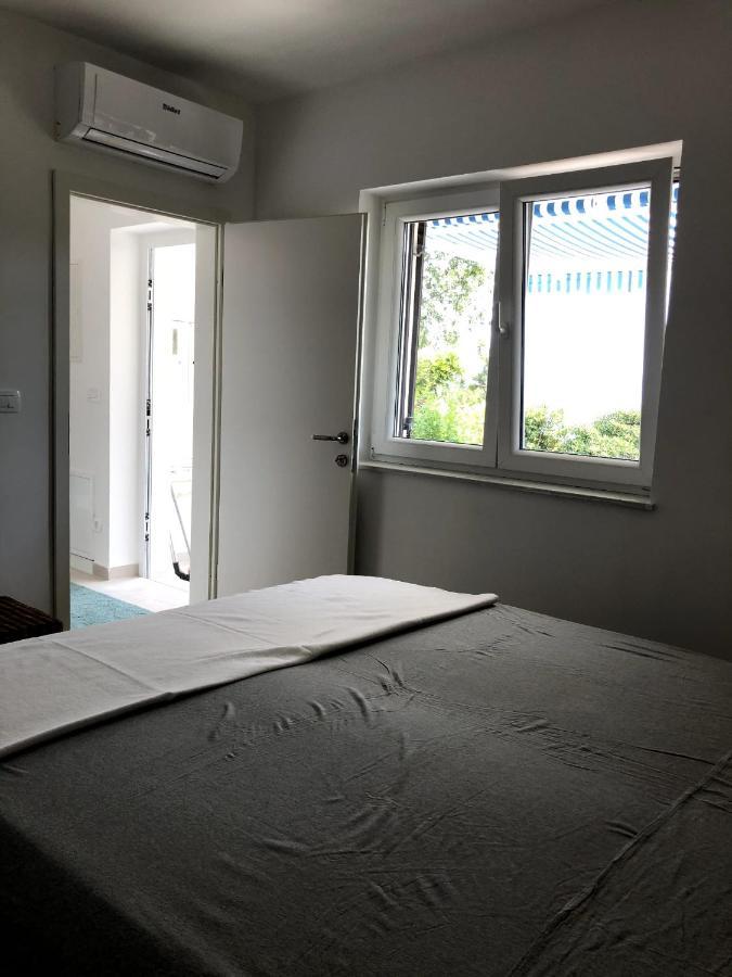 Apartments Amadea 诺维·维诺多尔斯基 外观 照片