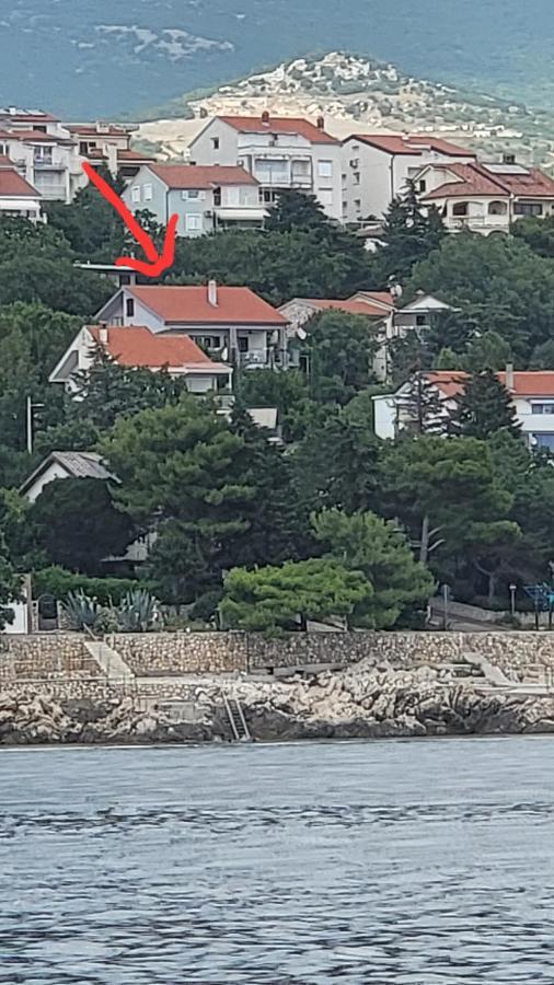 Apartments Amadea 诺维·维诺多尔斯基 外观 照片