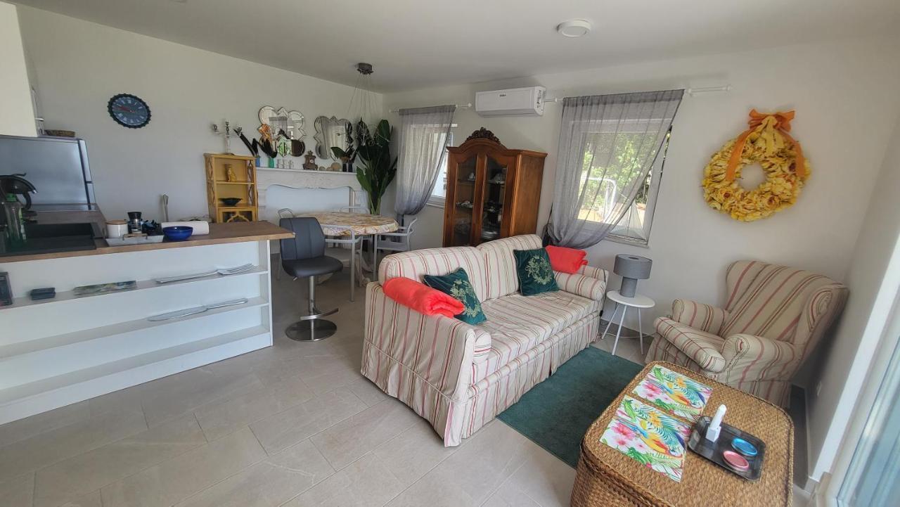 Apartments Amadea 诺维·维诺多尔斯基 外观 照片